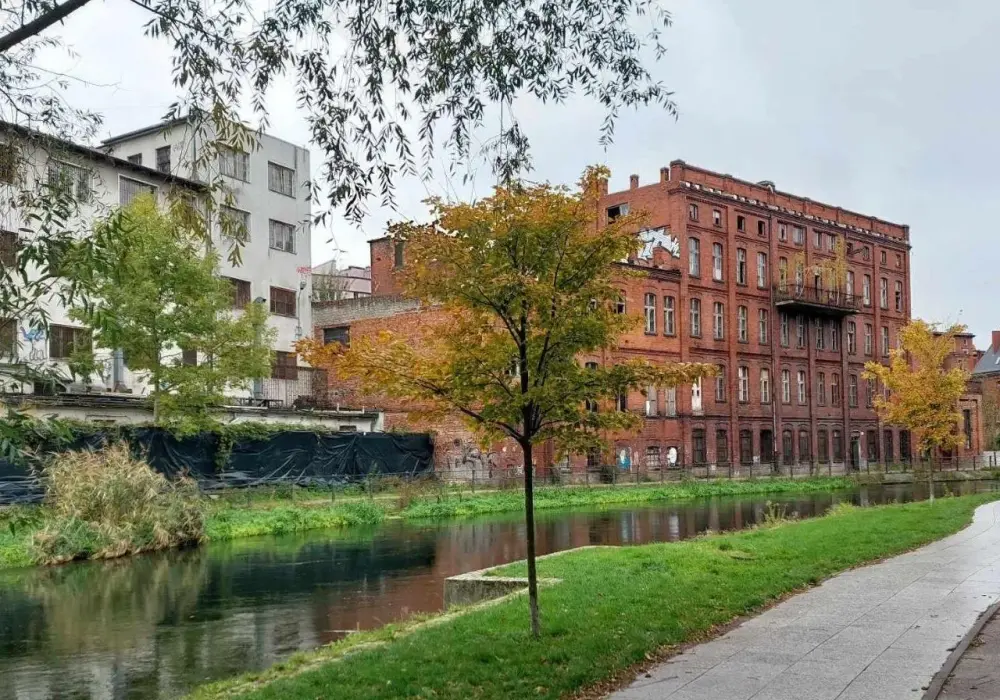Niebezpieczne inwestycje: 5 obszarów, których lepiej unikać